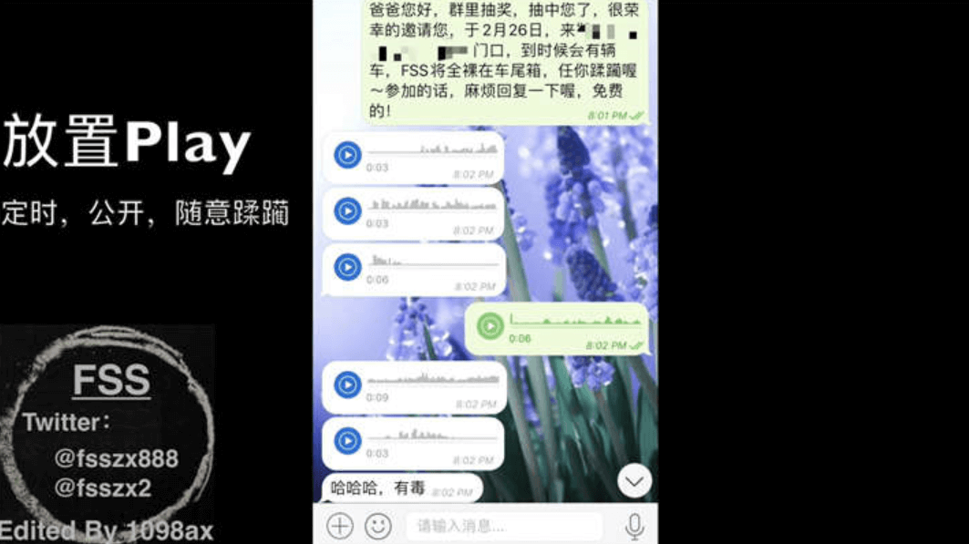 图片[2]-极品网红@FSS冯珊珊 – 后备箱公开处刑[1V/866MB]-集乐社