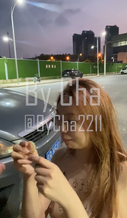 图片[3]-两部查小理户外露出视频【2v/1.79g】-集乐社