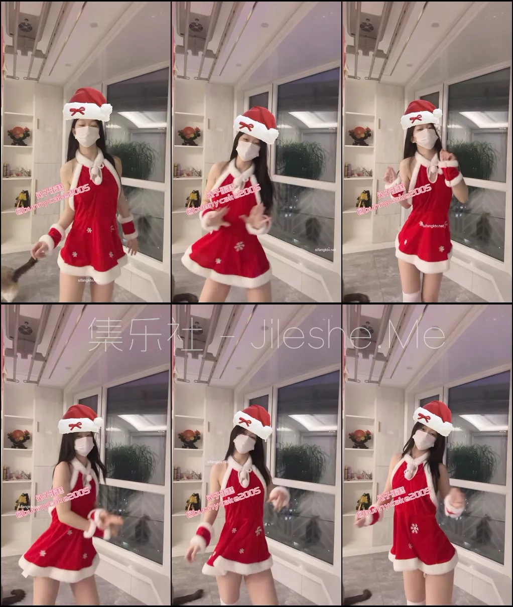 图片[1]-⭐ 推特新晋舞姬❤兔子蛋糕❤ 最新裸舞合集 【35V/5.3GB】-集乐社