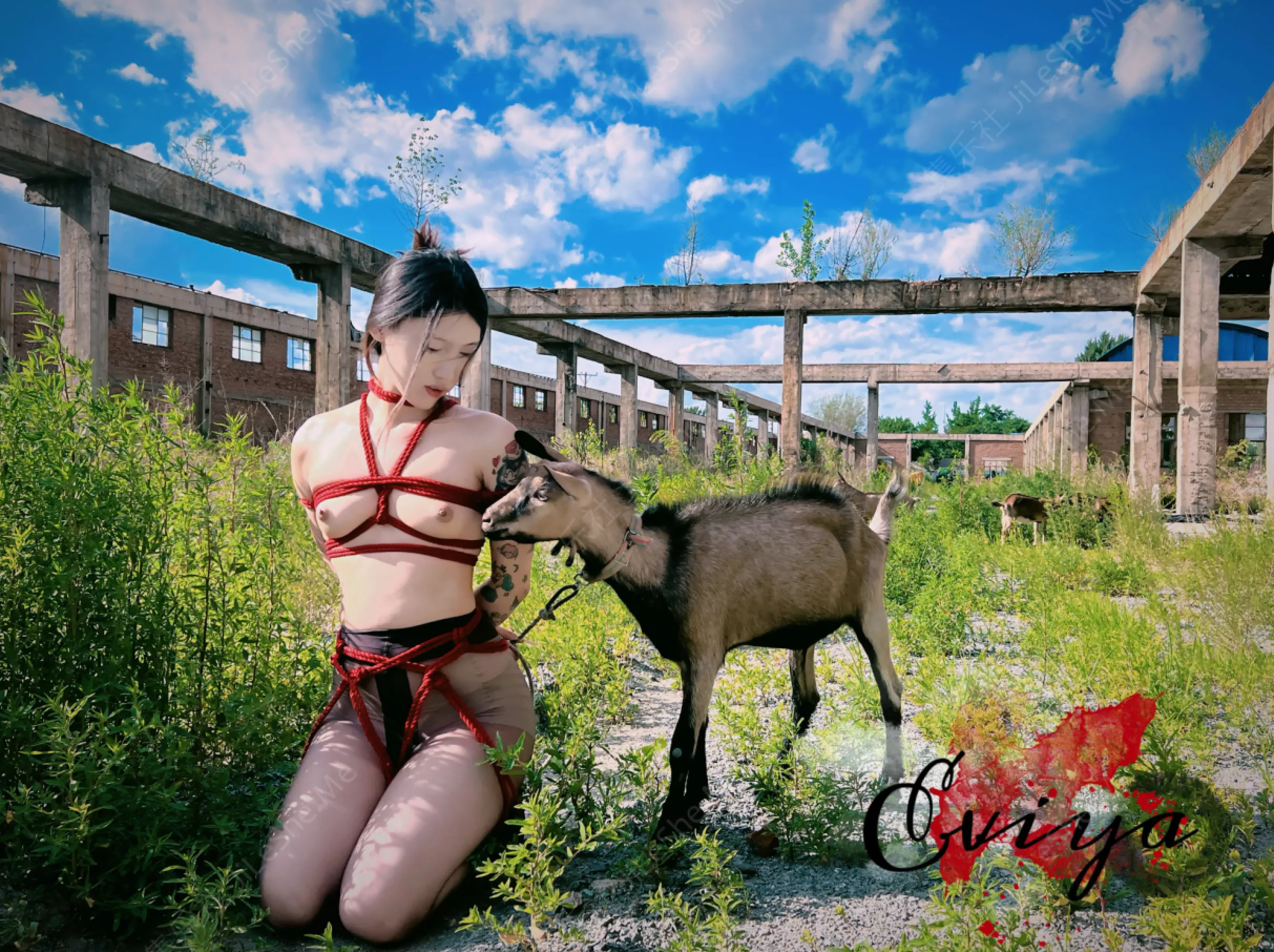 图片[4]-顶级调教大神『东北原创』极致反差婊 在别人眼里是清纯舞蹈生 在这只配做下贱母狗 骚逼塞丝袜撒尿 白丝一字马滴蜡【697MB】-集乐社