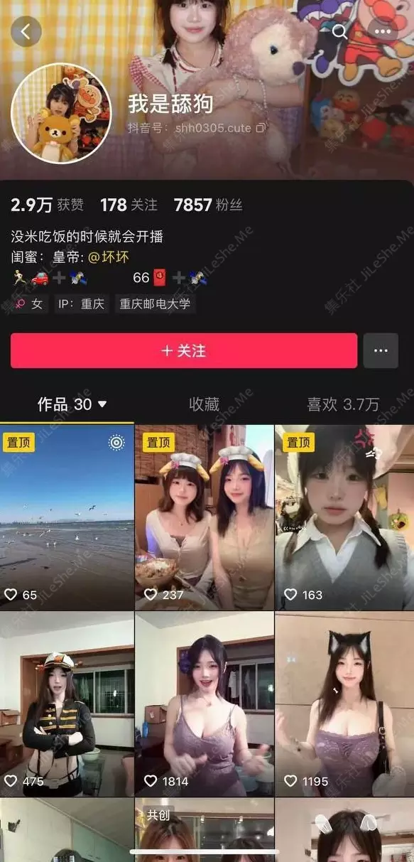 图片[1]-抖音大奶甜妹 猫猫忠仆/我是舔狗 反差裸舞自慰啪啪定制-集乐社